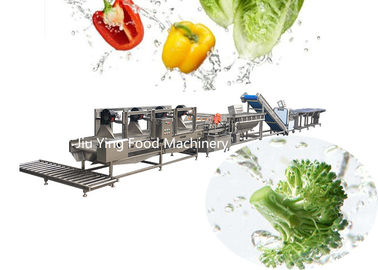 1000KG/H παγωμένη φυτική παγωμένη Okra γραμμή επεξεργασίας κατασκευαστών σαλάτας μηχανή