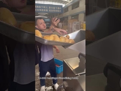 12 Σταθμοί κοπής Κεντρίφουγα Μηχανή κοπής τσιπς πατάτας με εξαιρετικά αποτελέσματα