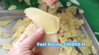 Φυγοκεντρική μηχανή κοπής 1000KG/H