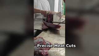 Πριόνι κοπής κρεάτων ακριβείας JY 420