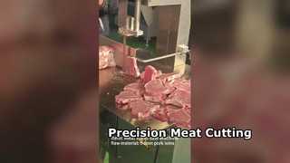 JY310 Butcher Band Saw Precision Meat cutting